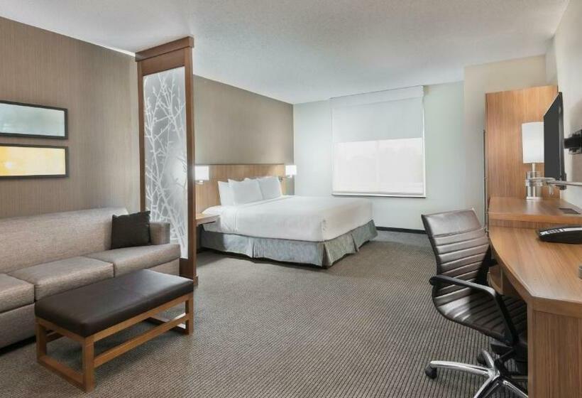 Номер Стандарт Адаптированный для Инвалидов, Hyatt Place Austin/round Rock