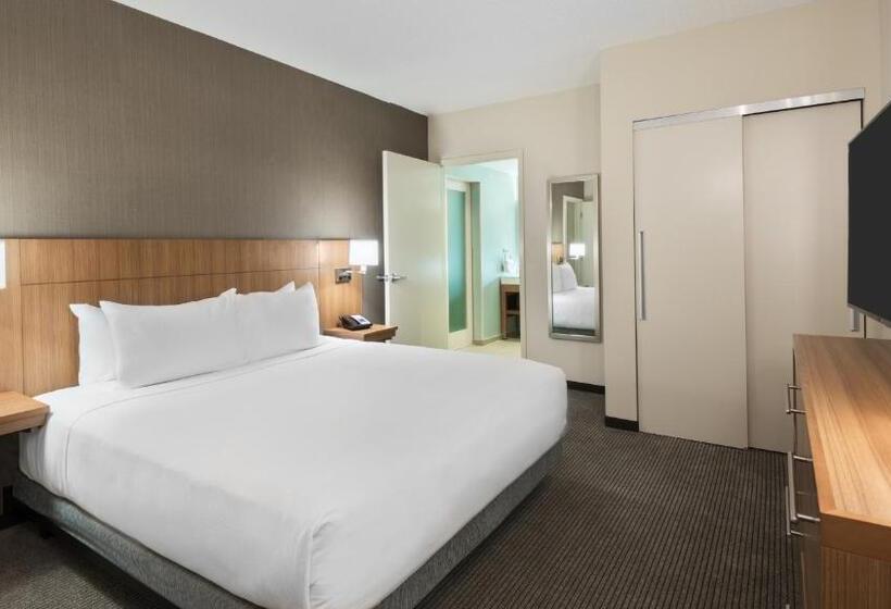 Люкс Кровать Кинг, Hyatt Place Austin/round Rock