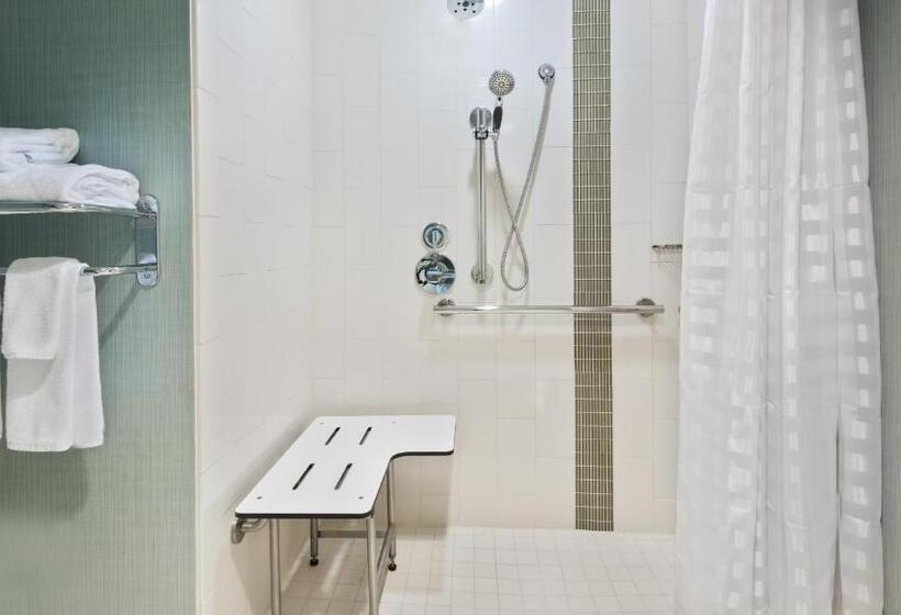 Люкс Адаптированный для Инвалидов, Hyatt Place Austin/round Rock