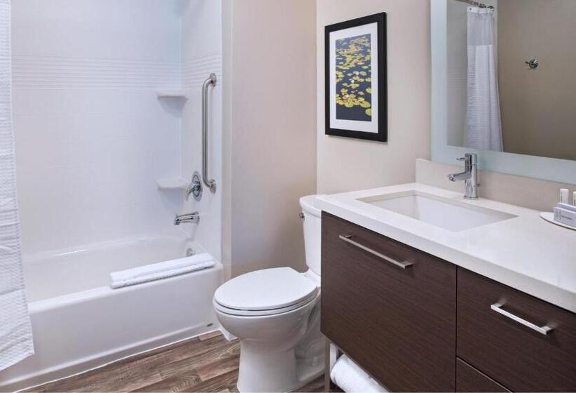 Студио Стандарт Кровать Кинг, Towneplace Suites By Marriott Lakeland