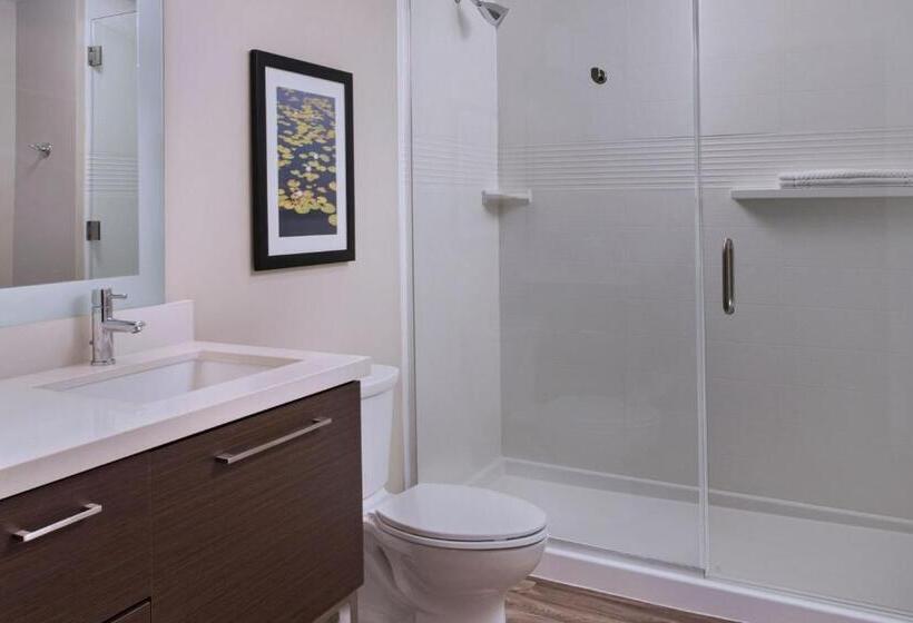 Люкс Адаптированный для Инвалидов, Towneplace Suites By Marriott Lakeland