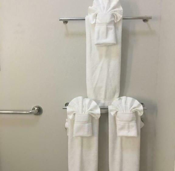 Стандартный Номер Кровать Кинг, Holiday Inn Express & Suites   Brenham South, An Ihg