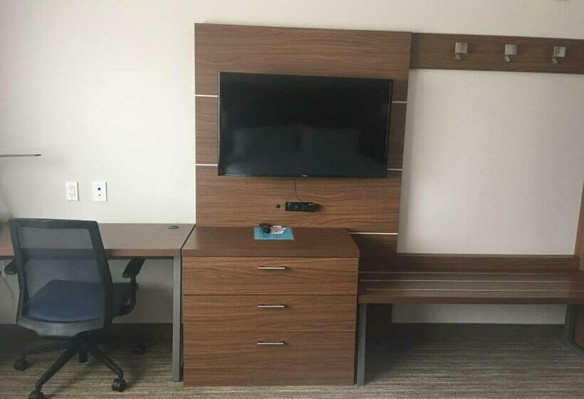 Стандартный Номер Кровать Кинг, Holiday Inn Express & Suites   Brenham South, An Ihg