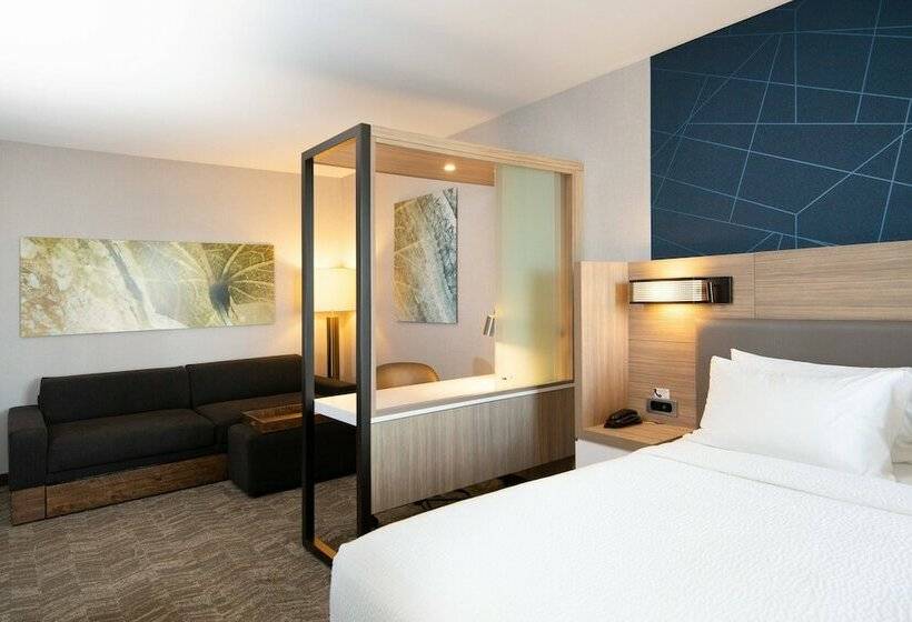Люкс, Springhill Suites By Marriott Austin Cedar Park