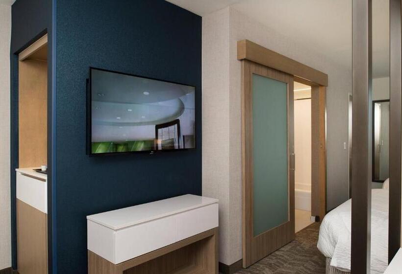 Люкс, Springhill Suites By Marriott Austin Cedar Park