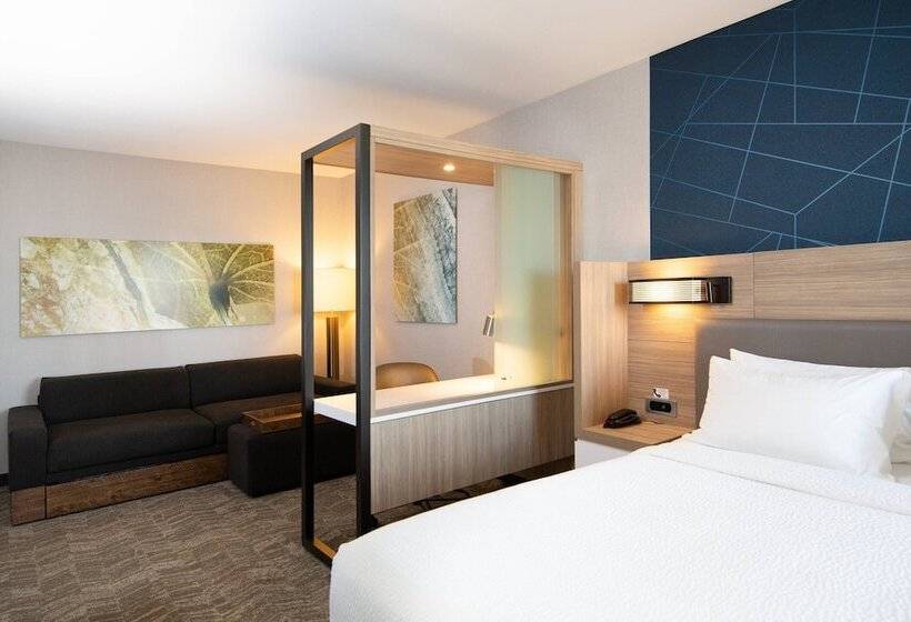 Люкс, Springhill Suites By Marriott Austin Cedar Park