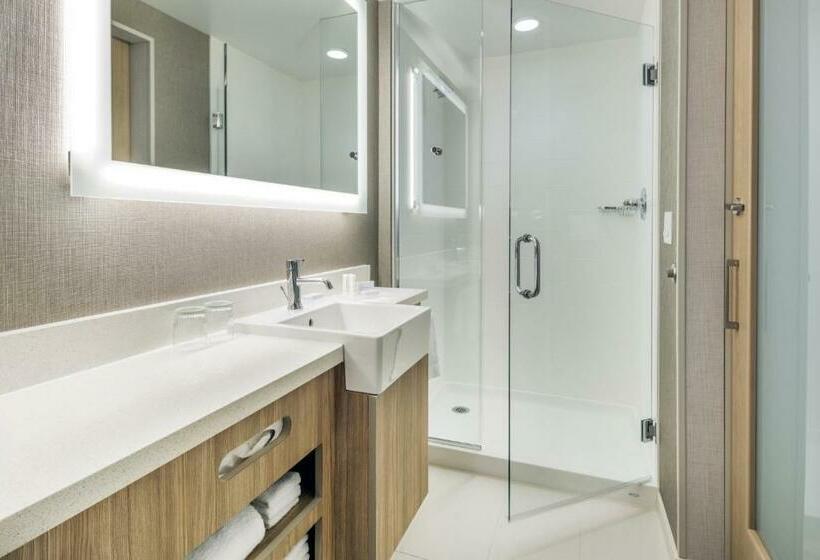 Люкс, Springhill Suites By Marriott Jackson Hole