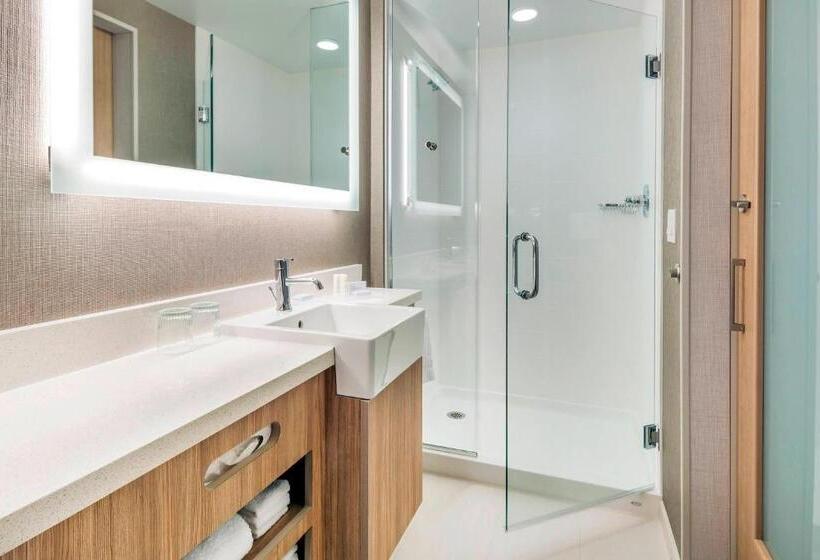 Студио Стандарт Кровать Кинг, Springhill Suites By Marriott Jackson Hole