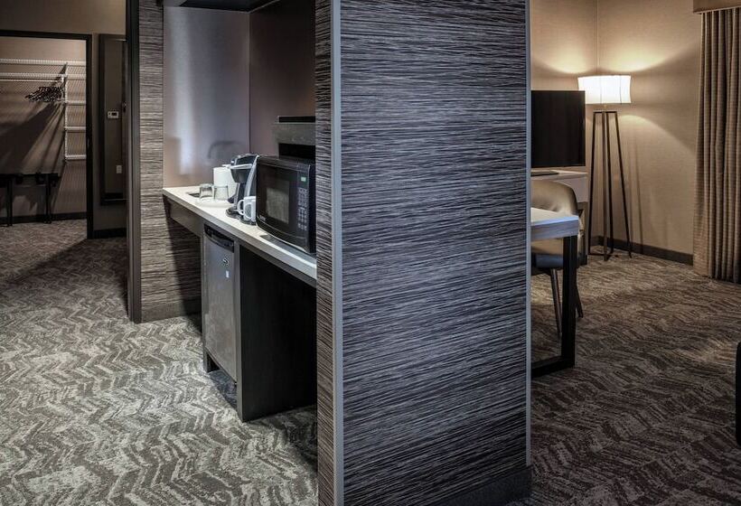 Люкс, Springhill Suites By Marriott Springdale Zion National Park
