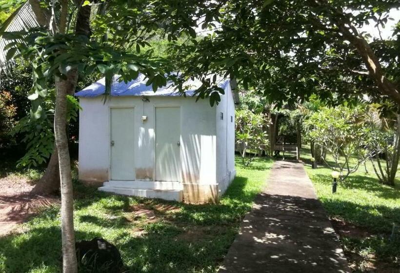 بانگلوی استاندارد, Q Bungalows