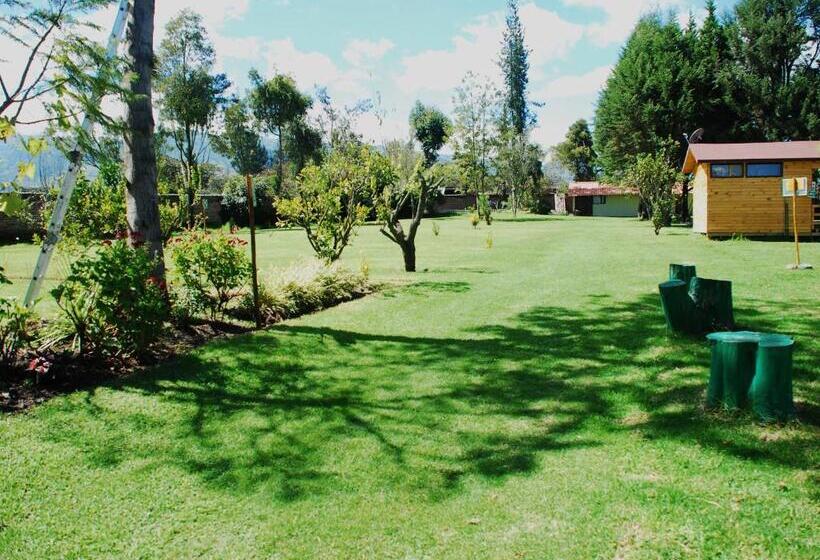 اتاق استاندارد یک نفره, Hosteria Airport Garden
