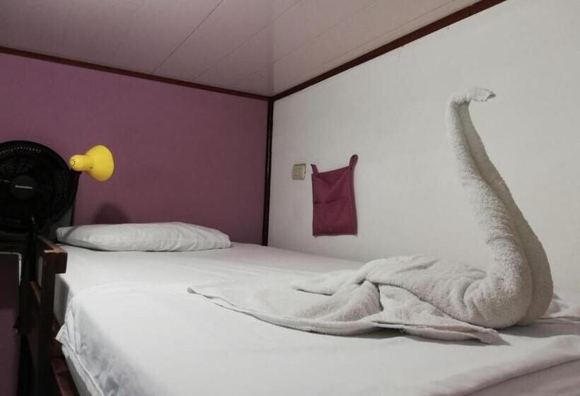 מיטה בחדר משותף, Aracari Garden Hostel