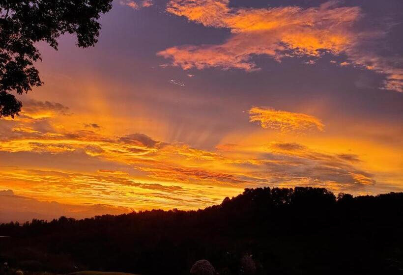 Четырехместный Номер Deluxe, Finca Paraiso Mountain Retreat Near San Jose Airport