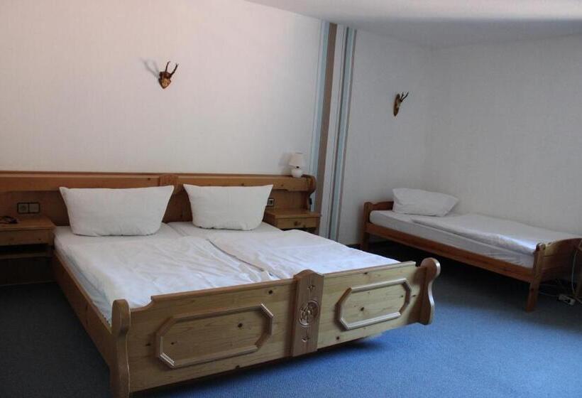 Номер Стандарт Трехместный, Berggasthof Hoherodskopf
