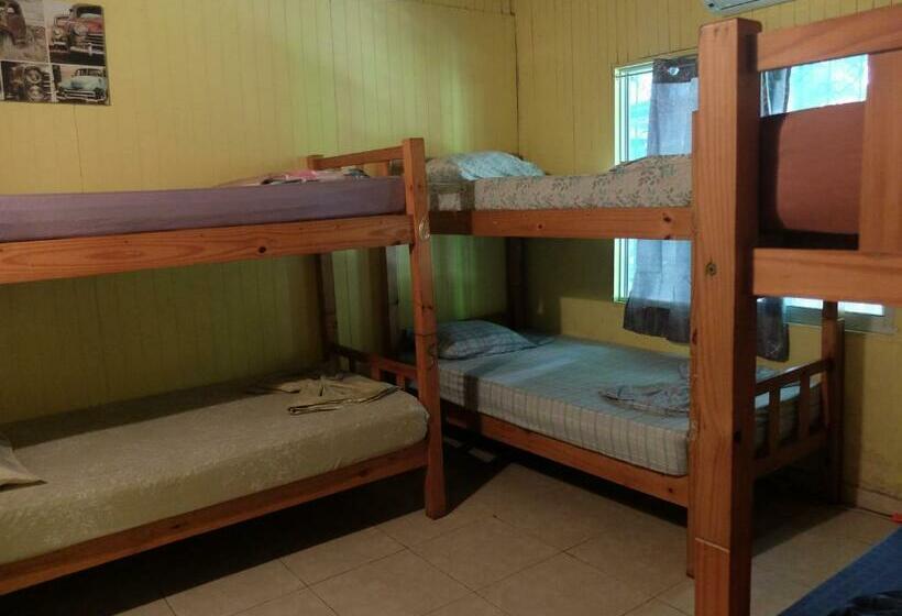 공동 객실, Pura Vida Mini Hostel Santa Teresa
