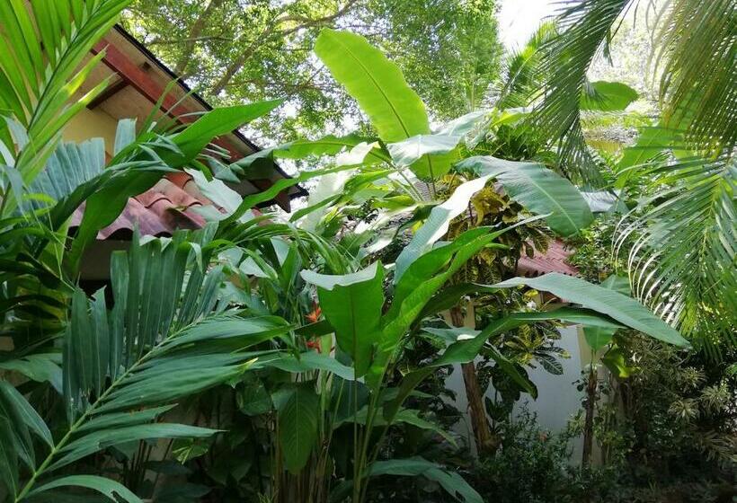 스탠다드 방갈로, Funky Monkey Lodge