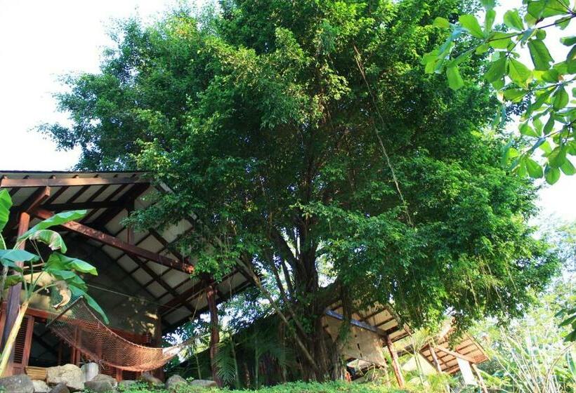 스탠다드 방갈로, Funky Monkey Lodge