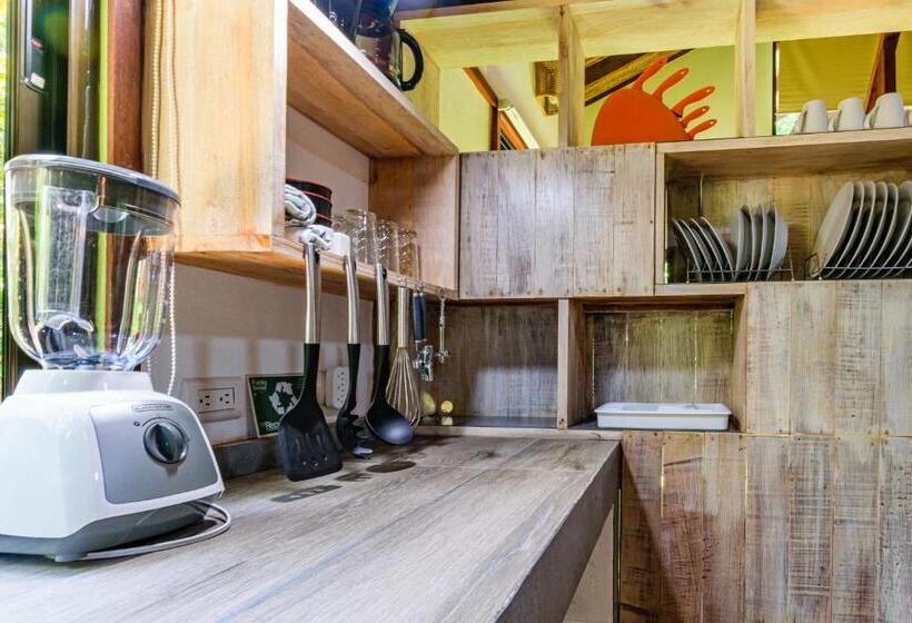 스탠다드 방갈로 정원 전망, Funky Monkey Lodge
