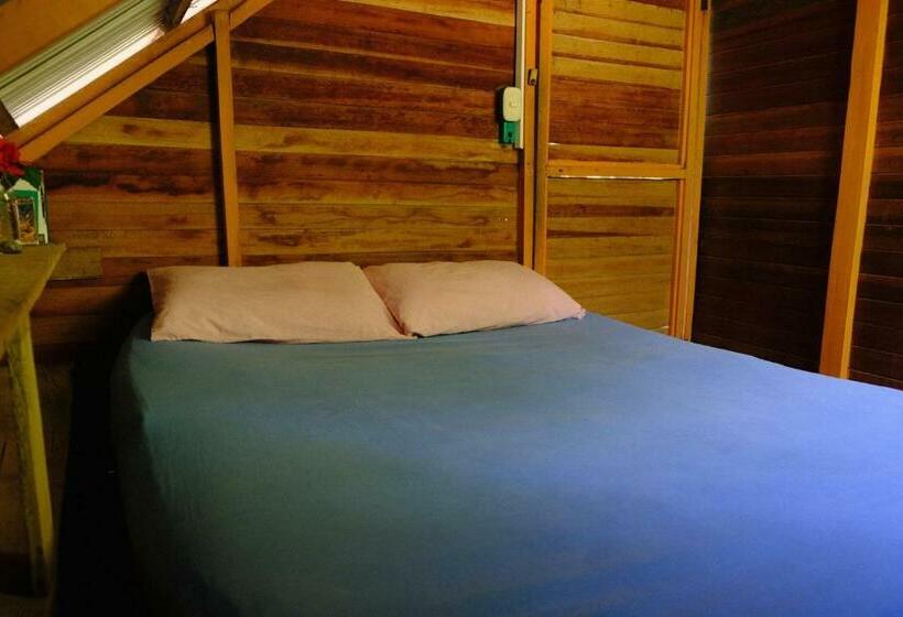 Economy Kamer, Kachikine