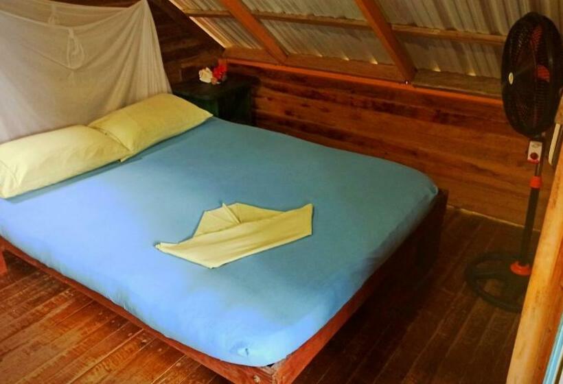 Economy Kamer, Kachikine