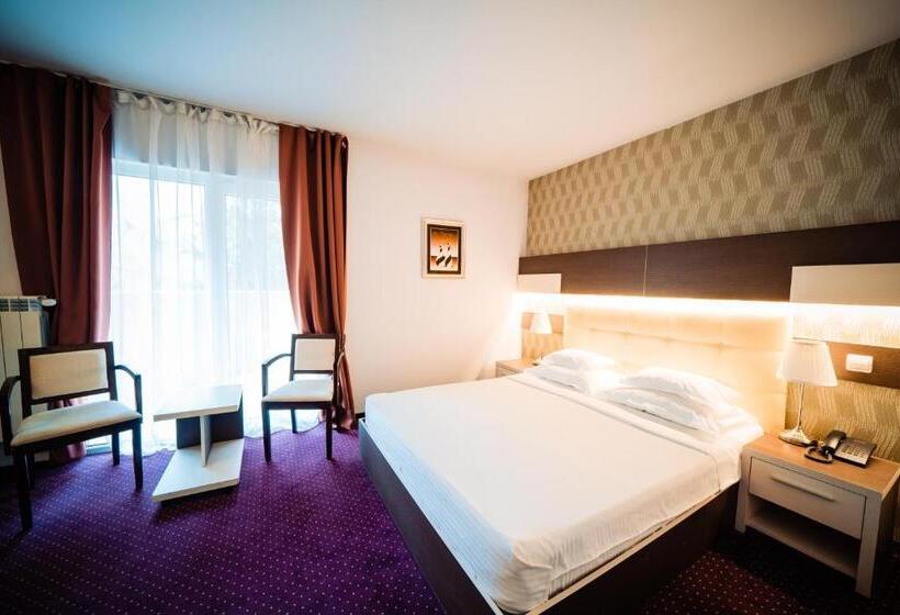 스탠다드 룸, Bacolux Afrodita Resort & Spa, Herculane