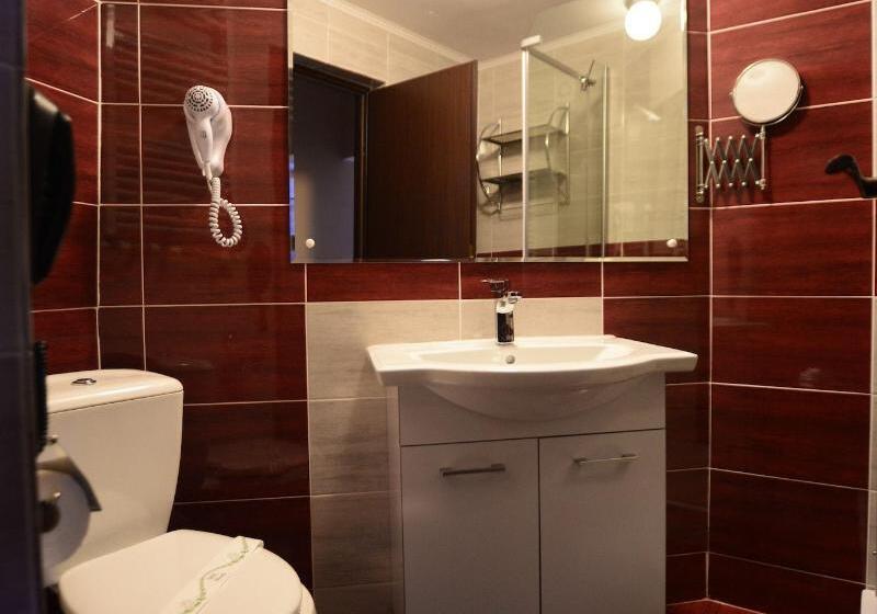 스탠다드 룸, Bacolux Afrodita Resort & Spa, Herculane