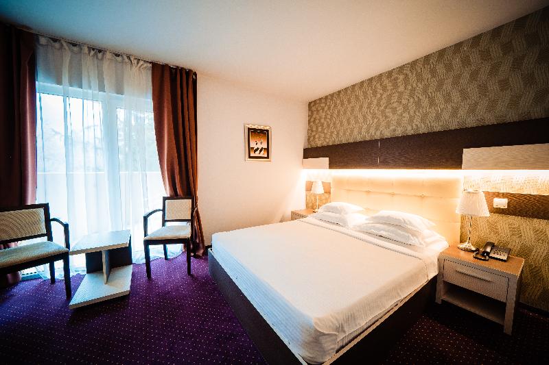 스탠다드 룸, Bacolux Afrodita Resort & Spa, Herculane