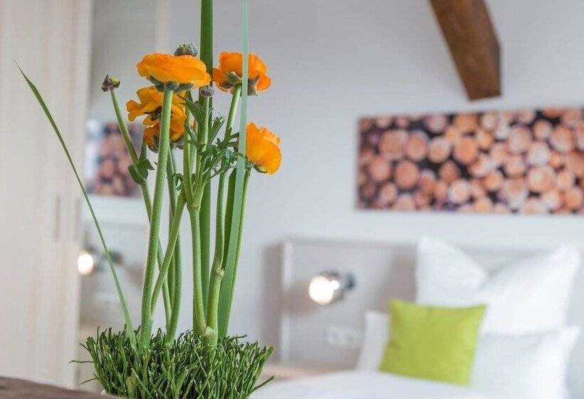 Standart Oda, Best Business Buhl  Boardinghouse