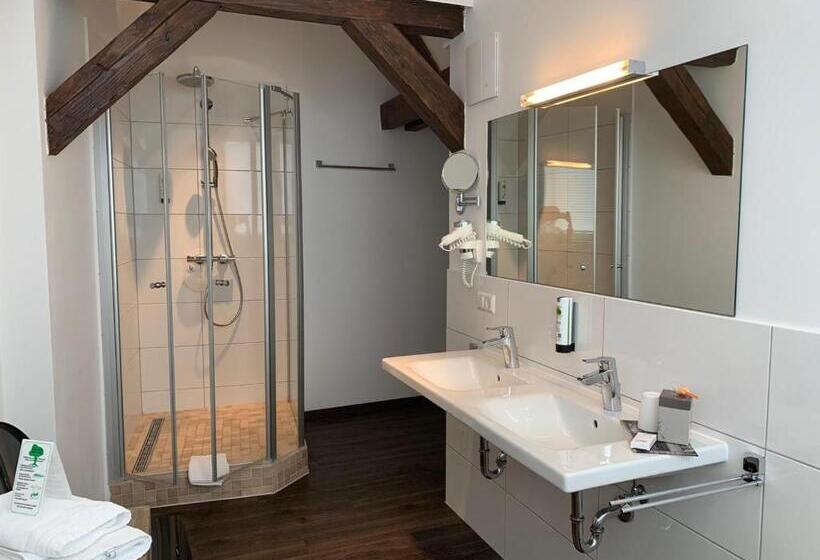 주니어 스위트, Best Business Buhl  Boardinghouse