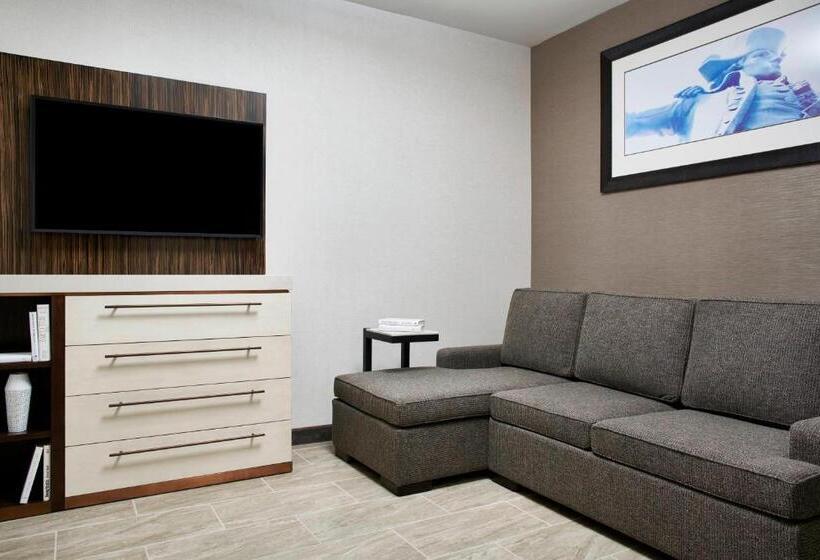 带大床的套房, Sonesta Hotel Baltimore Inner Harbor