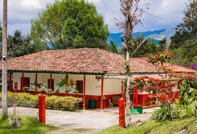 스탠다드 룸, Ecofinca Salento