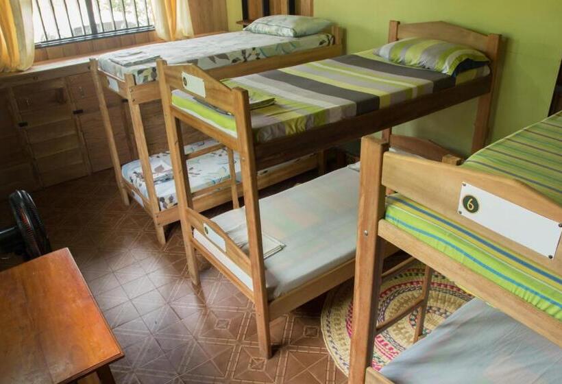 Кровать в Общей Комнате, Hostel Casa De Las Palmas Tours