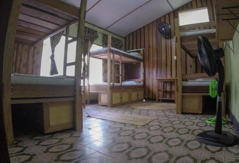 Кровать в Общей Комнате, Hostel Casa De Las Palmas Tours