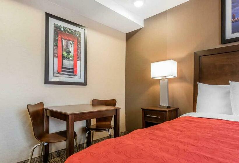 스탠다드 룸 킹사이즈 침대, Rodeway Inn Chicago/evanston