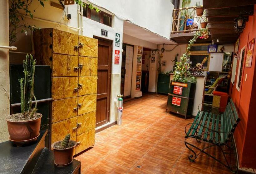 스탠다드 룸, Ukukus Hostel