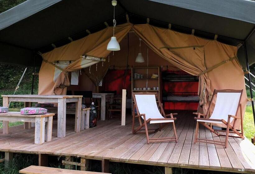 Standard Tent, Les ânes De Forcalquier