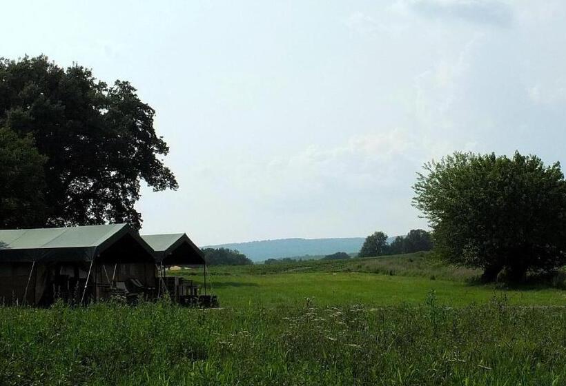 Standard Tent, Les ânes De Forcalquier