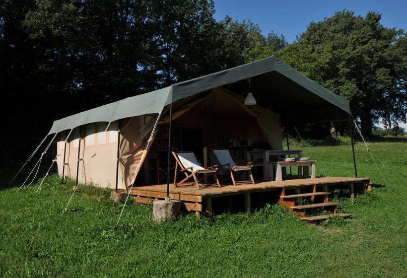 Standard Tent, Les ânes De Forcalquier