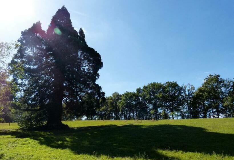 ファミリールーム, Domaine De Joreau