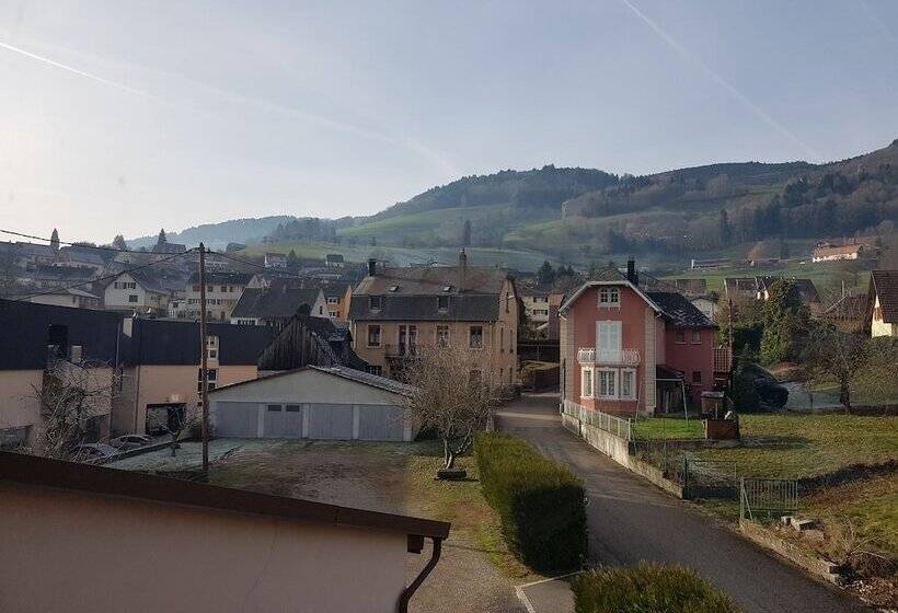 Номер Стандарт, Au Vieux Moulin