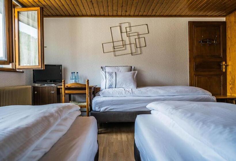 Номер Стандарт Трехместный, Au Vieux Moulin