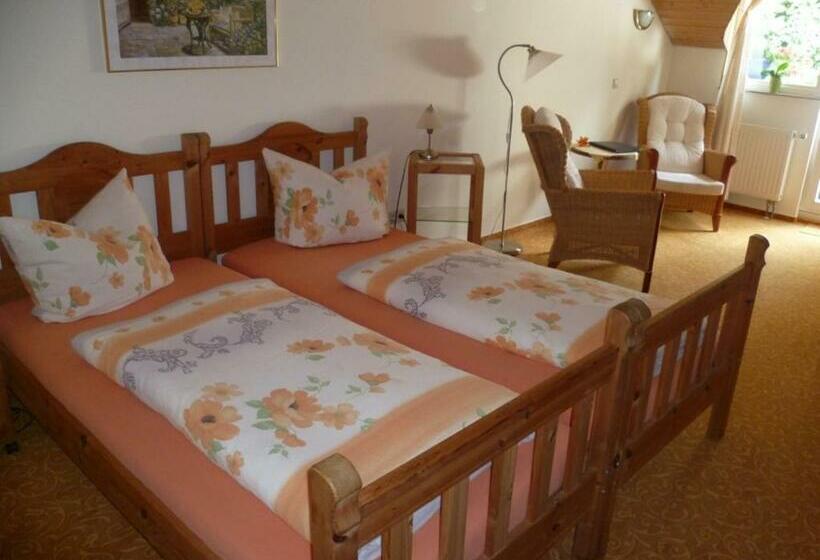 스탠다드 룸, Gesundheitshotel Haus Sonnenstein