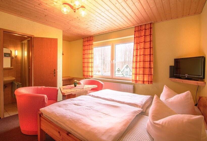 Номер Стандарт, Ferienhotel Goldhübel