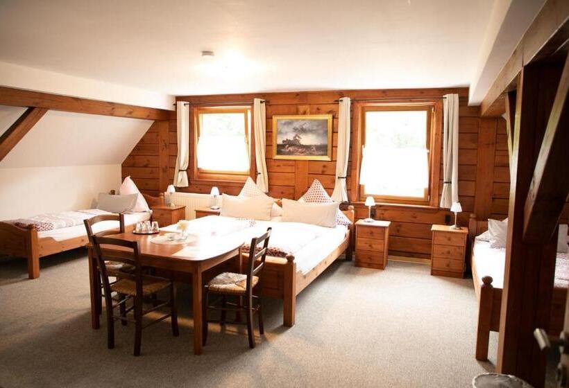 Четырехместный Номер Стандарт, Waldhaus Lahnstein