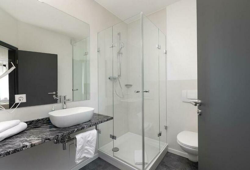 스탠다드 싱글 룸, Zur Blume Hotel & Restaurant Efringen Kirchen Bei Basel
