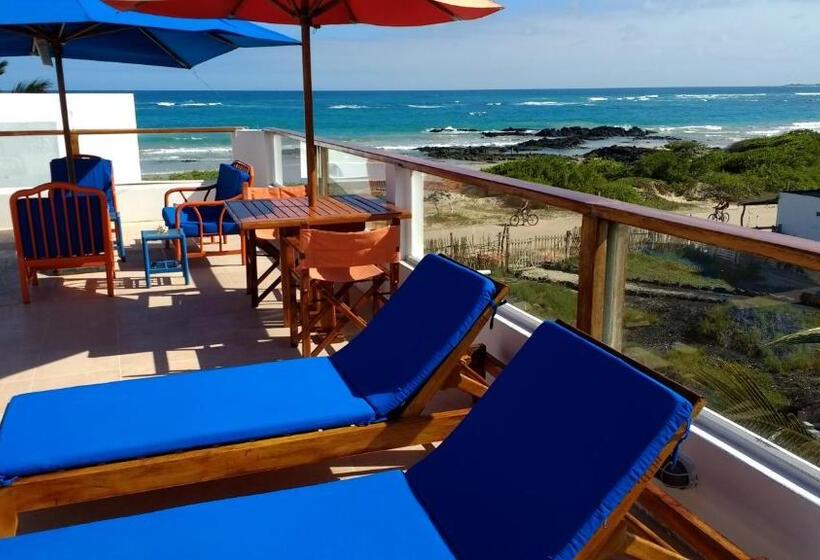 اتاق استاندارد با چشمانداز باغ, Drake Inn