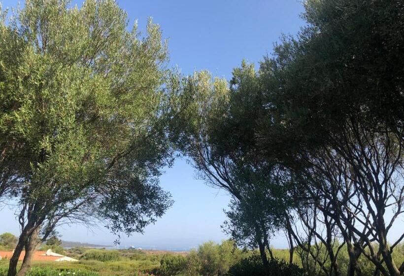 آپارتمان سوپریور 2 خوابه, Il Nido Dei Gabbiani