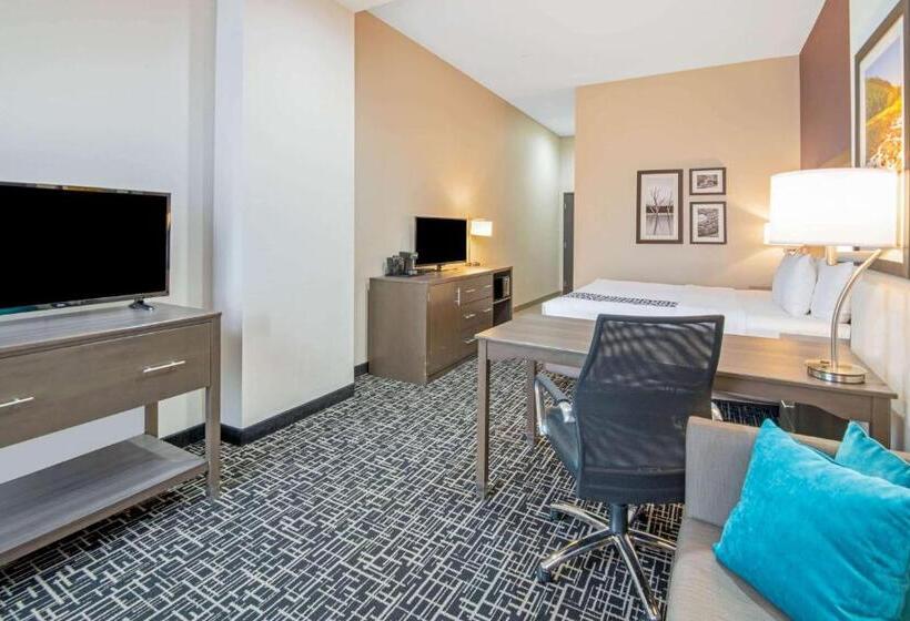 Номер Executive Кровать Кинг, La Quinta By Wyndham Weatherford Ok