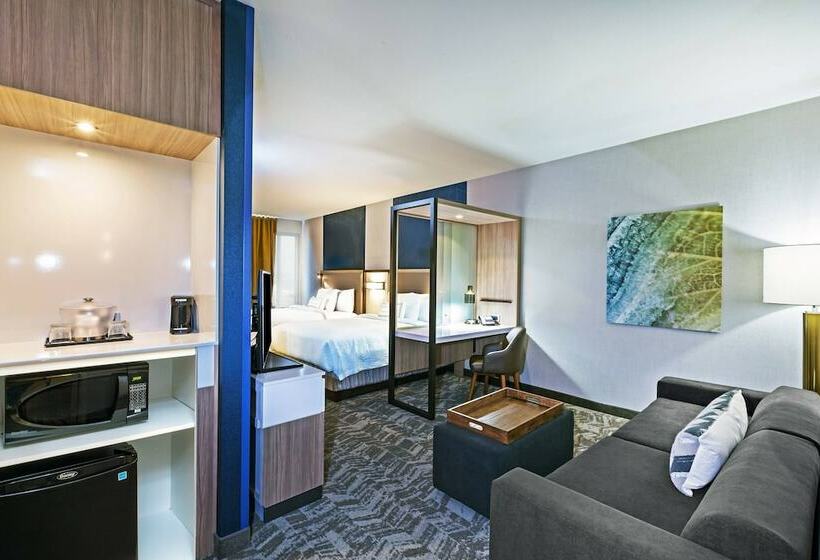 Студия Стандарт, Springhill Suites By Marriott Tulsa At Tulsa Hills