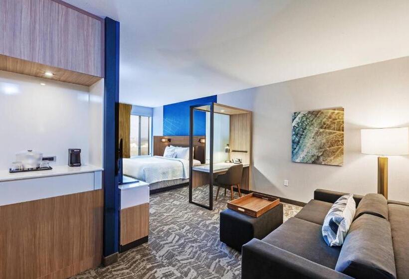 Студио Стандарт Кровать Кинг, Springhill Suites By Marriott Tulsa At Tulsa Hills